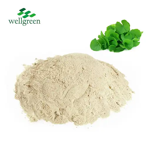 Gotu Kola Extract Powder